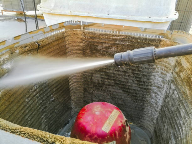 Best Air Duct Mold Removal  in Chico, TX