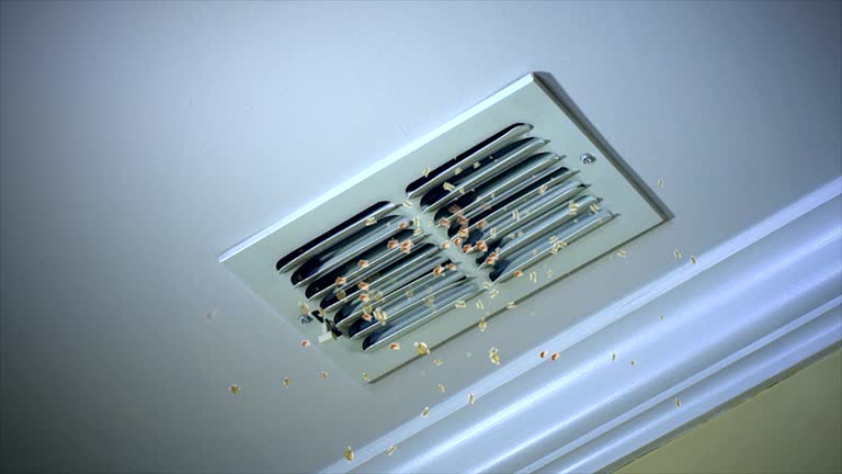 Best HVAC Duct Inspection Services  in Chico, TX